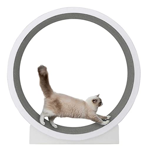 Katzenrad-Trainingsgerät für Hauskatzen, Fitness-Gerät zur Gewichtsreduktion, geräuschlose Rollen, natürliche Holzfarbe (Loop-Fleecedecke) von saditesdk