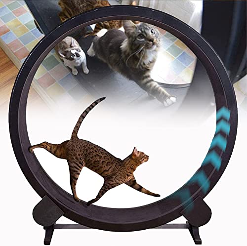Laufband für Haustiere, Katzenlaufband – leises Katzenlaufband – Lauffitnessgerät für Katzen – Katzenfitness-Sportspielzeug zur Gewichtsreduktion für kleine/mittelgroße Katzen von saditesdk