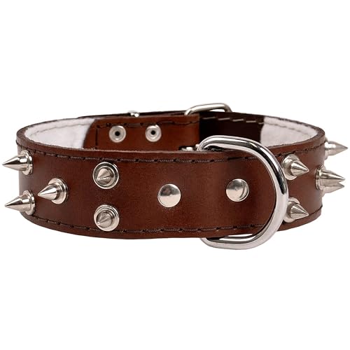 Braunes Leder Stachelhalsband, Hundehalsband 40mm/57cm von sarcia.eu