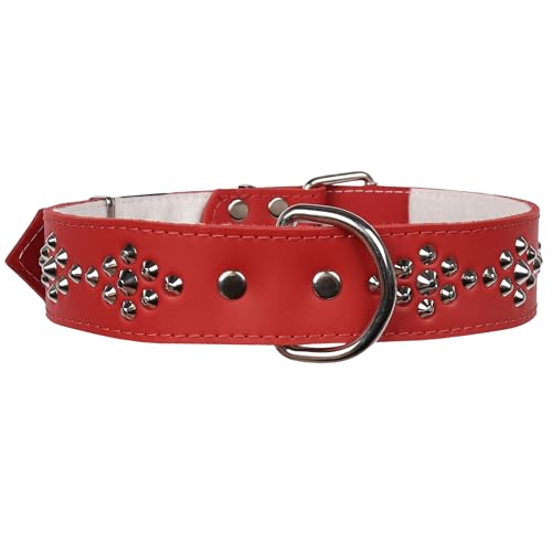 Lederhalsband mit Nieten, Hundehalsband 40mm/67cm (Rot 1) von sarcia.eu