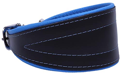 sarcia Schwarz-blaues Hundehalsband Chart Neo- 30 cm Einheitsgröße von sarcia.eu
