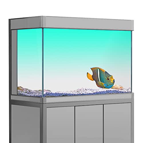 Aquarium-Hintergrund-Aufkleber, Cyan-Weiß, Farbverlauf, einfacher HD-Druck, Tapete, Aquarium-Hintergrund, Dekorationen, PVC-Querformat, 50 x 80 cm von sb little