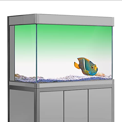 Aquarium-Hintergrundaufkleber mit Farbverlauf, HD-Druck, einfache Tapete, Aquarium-Hintergrunddekorationen, PVC-Poster (verschiedene Größen) (50 x 100 cm)) von sb little