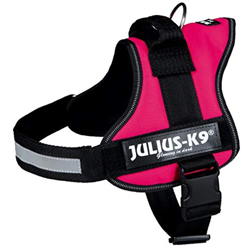 TRIXIE JULIUS K9 Powergeschirr Gr. 0-3 Hundegeschirre Hunde Brustgeschirr (M-L(58-76 cm/40 mm), fuchsia) von scalesport TRIXIE