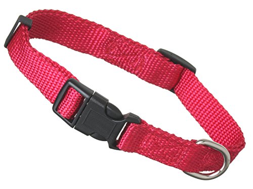 Scarlet pet | Hundehalsband »Universal« mit Klickverschluss und Längenverstellung; Diverse Farben und Größen; Robustes Nylon (L: 32-49 x 2,5 cm/Rot) von scarlet bijoux