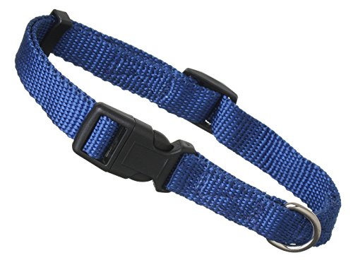 Scarlet pet | Hundehalsband »Universal« mit Klickverschluss und Längenverstellung; Diverse Farben und Größen; Robustes Nylon (XS: 21-32 x 1 cm/Blau) von scarlet bijoux