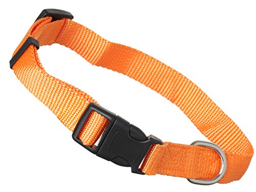 Scarlet pet | Hundehalsband »Universal« mit Klickverschluss und Längenverstellung; Diverse Farben und Größen; Robustes Nylon (XS: 21-32 x 1 cm/Orange) von scarlet bijoux