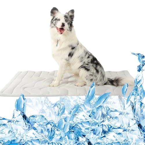schlafhimmel Dr Pfoten Kühlmatte für Hunde und Katzen – Selbstkühlende Pfotenchill Matte für den Sommer, Innovative Erfahrung für Haustiere (M (91 * 58 cm)) von schlafhimmel