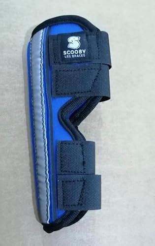 scooby Hosenträger für Hunde, Größe L, Blau von scooby