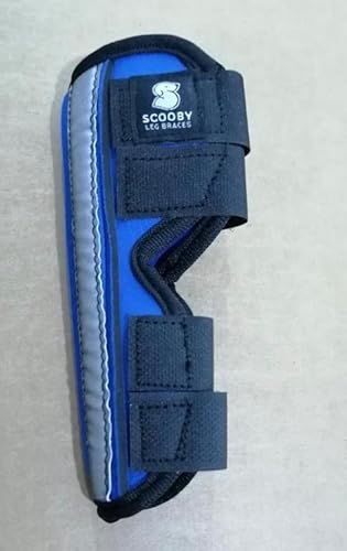 scooby Hosenträger für Hunde, Größe L, Blau von scooby