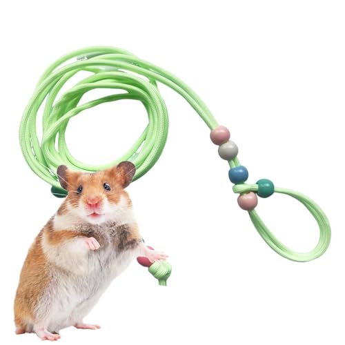 scyca Drachengeschirr für Barbudo, Leine für kleine Tiere, Reptilien, Eidechse, Gurt, Blei-Trainingsgeschirr für fluoreszierende Reptilien für Gecko, Eidechse, Amphibien, Reptilien scyca Drachengeschirr für Barbudo, Leine für kleine Tiere, Reptilien, Eidechse, Gurt, Blei-Trainingsgeschirr für fluoreszierende Reptilien für Gecko, Eidechse, Amphibien, Reptilien von scyca