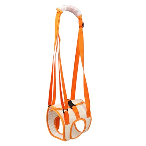 scyca Hüftstütze für Hunde, feste Doppel-Hüftstütze aus Netzstoff, ergonomischer und atmungsaktiver Haustier-Hilfsgürtel für behinderte und ältere Hunde von scyca