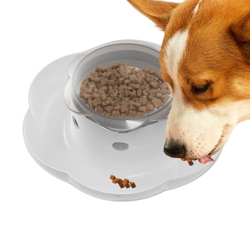 scyca Hunde-Puzzle-Futterstation, Puzzles für Hunde | Slow-Feeder-Hundepuzzle zur Leckerli-Ausgabe | Hundespielzeug für den Innenbereich, Futterspender-Spielzeug, Futter-Puzzle-Futterspender, lustiges scyca Hunde-Puzzle-Futterstation, Puzzles für Hunde | Slow-Feeder-Hundepuzzle zur Leckerli-Ausgabe | Hundespielzeug für den Innenbereich, Futterspender-Spielzeug, Futter-Puzzle-Futterspender, lustiges von scyca