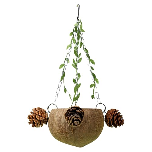 scyca Natürliches Vogelhaus für Käfig, natürliches Vogelhaus, Ruhehaus Agapornis, Four Seasons Lovebirds für Nymphensittiche, Zucht- und Papageienruhe von scyca