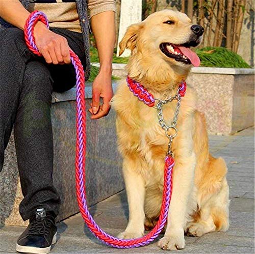 Robuste Hundeleine von SeaNpem, verstellbar, mit Martingal-Hundehalsband, geflochten, Zugklemme aus Metall, Verdrehsicherung, Geh- und Trainingsleine für Ihr Haustier, solide hergestellt, für von seaNpem