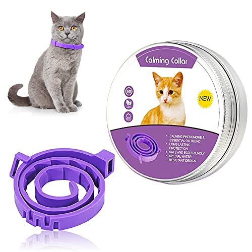 selcouth yyds Katzenhalsband, 38,1 cm, violett, Polyester, Naturale Beruhigung mit pflanzlichen Ölen, 60 Tage Schutz, für die meisten Katzen von selcouth yyds