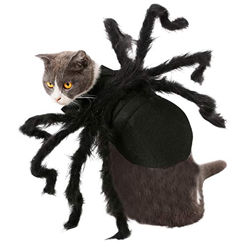 semen Haustierkostüm Halloween Cosplay Haustierkleidung achtbeinige Schwarze Spinne Horrorkostüm Für Hund von semen
