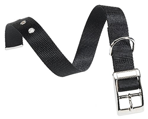 Hundehalsband 'CLUB CF' mm 15 x cm 27 ÷35 - schwarz von senza