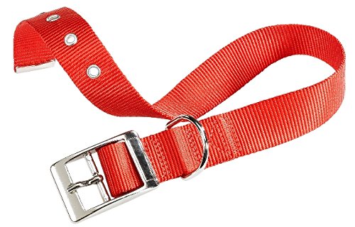 Hundehalsband 'Club CF' mm 15 x cm 27 ÷35 - rot von senza
