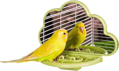 Vogelspiegel mit Sitzstange, Vogelspielzeug für Sittiche, Nymphensittiche, Conures, Unzertrennliche, Finken, Kanarienvögel (Grün) von septillar