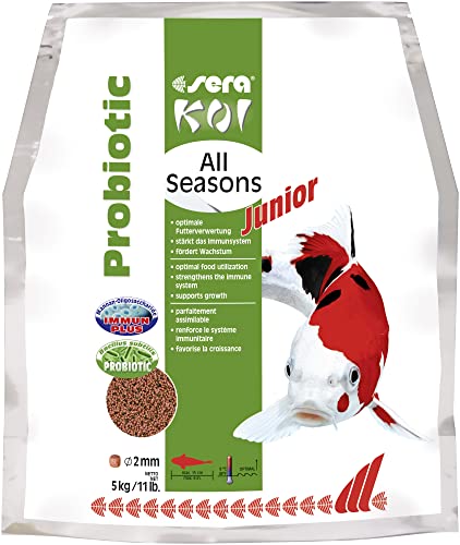 sera Koi Professional Junior 5 kg | Wachstums- & Farbfutter für kleine Koi zur ganzjährigen Fütterung | Mit EFSA-empfohlenem Bacillus velezensis | Stabilisiert die Darmflora & Futterverwertung sera Koi Professional Junior 5 kg | Wachstums- & Farbfutter für kleine Koi zur ganzjährigen Fütterung | Mit EFSA-empfohlenem Bacillus velezensis | Stabilisiert die Darmflora & Futterverwertung von sera