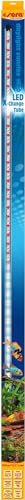 sera LED daylight sunrise 1420 mm / 22,0 W | Farbechtes & natürliches Tageslicht (6000-8000 Kelvin) | Dimmbar mit Digital Dimmer | Sonnenauf- & -untergangssimulation | Ideal für Süßwasseraquarien von sera