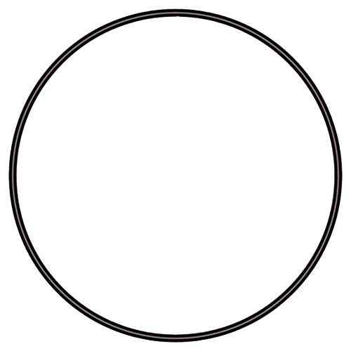 sera O-Dichtring Ø 79 mm - Ersatzteil für sera UV-C-System 5 W - für sera UV-C-System 5 W von sera