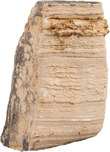 sera Rock Desert S/M 0,6 - 1,4 kg - Hellbeiger Naturstein mit horizontalen Furchen sera Rock Desert S/M 0,6 - 1,4 kg - Hellbeiger Naturstein mit horizontalen Furchen von sera