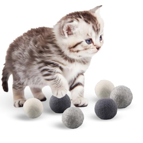 shallyong 6 Stück Filzbälle für Katzen, Handgefertigtes Katzenspielzeug Ball aus 100 % Reiner Wolle, Katzenball, Katzenspielzeug Set, Nachhaltige Spielbälle mit Aufbewahrungsbeutel von shallyong