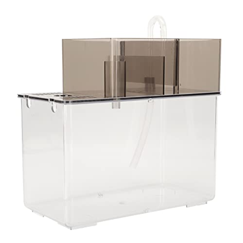 shenruifa Betta-Aquarium, Transparent, Leicht zu Reinigen, Leicht, Klein, Goldfischschale für Betta-Fische, Schildkröten, Reptilien, für Heimbüro-Dekoration shenruifa Betta-Aquarium, Transparent, Leicht zu Reinigen, Leicht, Klein, Goldfischschale für Betta-Fische, Schildkröten, Reptilien, für Heimbüro-Dekoration von shenruifa