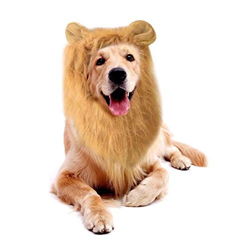 shenruifa Puppy Mähne Kostüm, Lebensechte Lustige Perücke für Hunde, Große Mittelgroße Haustiere mit Einstellbarem Ohrenschwanz, für Halloween -Rollenspielpartys shenruifa Puppy Mähne Kostüm, Lebensechte Lustige Perücke für Hunde, Große Mittelgroße Haustiere mit Einstellbarem Ohrenschwanz, für Halloween -Rollenspielpartys von shenruifa