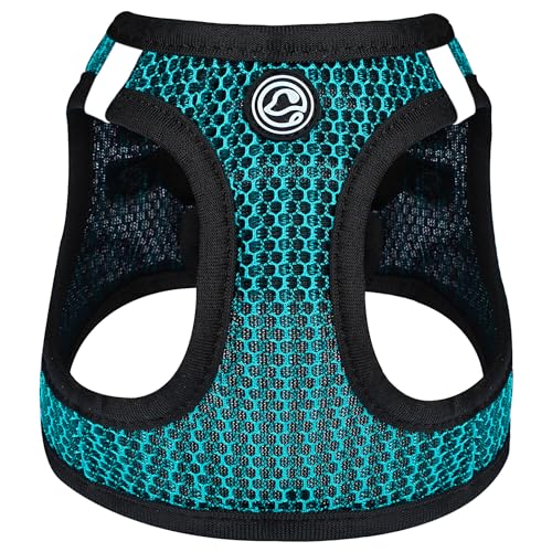 Step in Hundegeschirr, Komfort-Netzgewebe, Größe XS für Chihuahua, weich gepolstert, leicht, Welpengeschirr für Katze, Hund, Spaziergänge im Freien (Blau1, Medium) von shifenmei