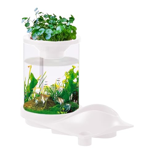 Kleines Aquarium, kleines Aquarium, durchscheinendes, leises Aquarium, aquaponisches Ökosystem-Aquarium, leises Betta-Fischtank, pflegeleichtes Aquarium für Fischgeschäft, Zuhause, Arbeitsplatz Kleines Aquarium, kleines Aquarium, durchscheinendes, leises Aquarium, aquaponisches Ökosystem-Aquarium, leises Betta-Fischtank, pflegeleichtes Aquarium für Fischgeschäft, Zuhause, Arbeitsplatz von shjxi