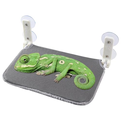 Saugnapf Hängematte, Saugnapf Sitzstange Reptilien Hängematte Reptilien Saugnapf Hängematte Faltbare Hängematte Sitzstange mit Saugnäpfen Wiederverwendbare Reptilien Hängematte von shjxi