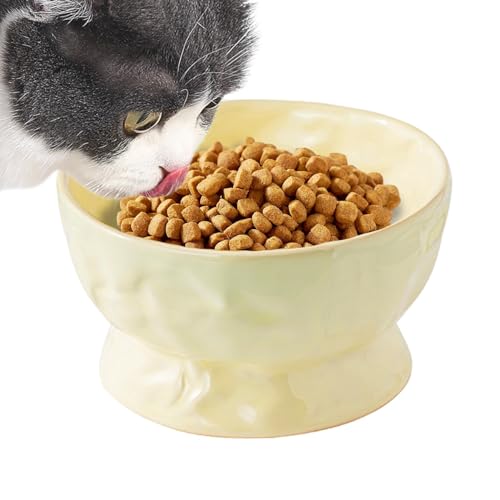 shjxi Erhöhter Katzen-Wassernapf, Keramik-Katzenfutter- und Wassernäpfe, wiederverwendbar, geneigt, für kleine Katzen und Kätzchen im Innenbereich von shjxi