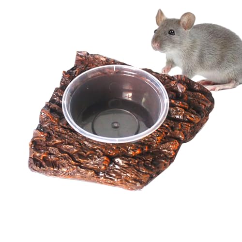 Wasserschale | Wassernapf groß Reptilien | Terrarienschalen aus Kunstharz | Reptilienschüssel mit Rampe Felsen Design Reptilien Wasserschale Bartagrache Wasserschale Schildkröte von shjxi