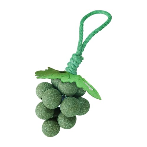shjxi Katzenminze-Trauben-Kauspielzeug, interaktive Kätzchensimulation, strukturiertes bissfestes Design, beruhigende Übungshilfe für drinnen, Langeweile, Spielzeit, 11,9 x 5,9 x 5,9 cm shjxi Katzenminze-Trauben-Kauspielzeug, interaktive Kätzchensimulation, strukturiertes bissfestes Design, beruhigende Übungshilfe für drinnen, Langeweile, Spielzeit, 11,9 x 5,9 x 5,9 cm von shjxi