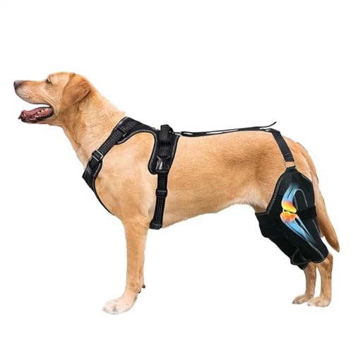 shjxi Knee Brace for Dogs Back Leg, Adjustable Canine Care CCL Brace, Dogs Back Leg Support, Back Leg ACL Brace for Dogs Torn ACL Rear Leg, Comfortable Adjustable Support for Active Dogs shjxi Knee Brace for Dogs Back Leg, Adjustable Canine Care CCL Brace, Dogs Back Leg Support, Back Leg ACL Brace for Dogs Torn ACL Rear Leg, Comfortable Adjustable Support for Active Dogs von shjxi