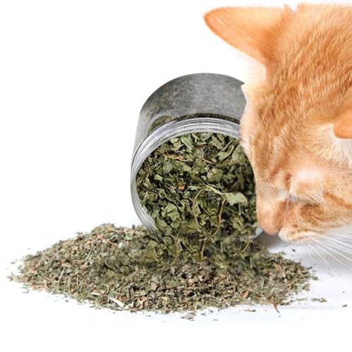 shjxi Natürliche Katzenminze, 40 g, echte natürliche Katzenminze, echte natürliche Blätter, Katzenminze, gesunde Katzensnacks für Zahnreinigung, Haarentfernung, Mundgesundheit und Stimmungsregulierung shjxi Natürliche Katzenminze, 40 g, echte natürliche Katzenminze, echte natürliche Blätter, Katzenminze, gesunde Katzensnacks für Zahnreinigung, Haarentfernung, Mundgesundheit und Stimmungsregulierung von shjxi