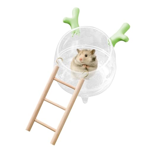 shjxi Transparente Sand-Badewanne für Hamster – inklusive Leiter, Hamster-Sandbadeschüssel für Igel, Lemminge und Kleintier-Lebensräume, Haustier-Hamster, Sandbadeschüssel mit Leiter von shjxi