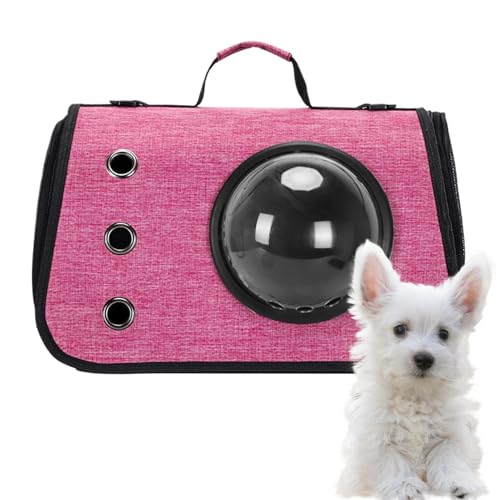 shpuuyy Katzen-Reisetasche, atmungsaktive Tier-Tragetasche, tragbare Haustierbedarf, faltbare Tragetasche mit für kleine, mittelgroße Katzen und Hunde shpuuyy Katzen-Reisetasche, atmungsaktive Tier-Tragetasche, tragbare Haustierbedarf, faltbare Tragetasche mit für kleine, mittelgroße Katzen und Hunde von shpuuyy