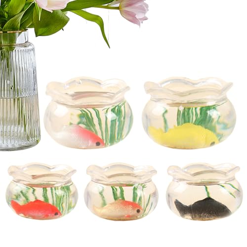 shpuuyy Mini Aquarium - Miniatur-Aquarium Modellset mit 5 Teilen - Maßstab 1 12 Deko für Schreibtisch Puppenhaus Gartenszene shpuuyy Mini Aquarium - Miniatur-Aquarium Modellset mit 5 Teilen - Maßstab 1 12 Deko für Schreibtisch Puppenhaus Gartenszene von shpuuyy