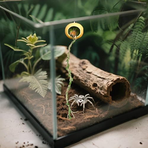 shpuuyy Springspinnen Versteck | Versteck Unterschlupf für Springspinnen - Dekoratives Zubehör für Terrarien als Unterschlupf und Lebensraum für Gliederfüßer, kleine Reptilien, von shpuuyy