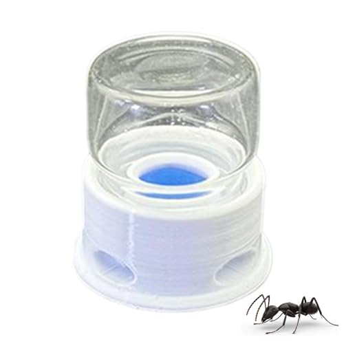 shuhauk Ameisen-Wasserspender - Wasserstation für Grillen | Auslaufsicherer transparenter Trink-Futterspender für Bauernhof, Haus, Outdoor, Grillen, Ameise, Biene von shuhauk