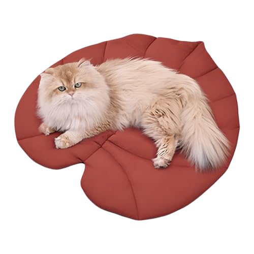 shuhauk Couch-Pads für Hunde, Blätterform, gemütlich, waschbar, Schonbezug, weich für Sofa, Stuhl, Boden, Auto, Innenbereich, Camping, Reisen shuhauk Couch-Pads für Hunde, Blätterform, gemütlich, waschbar, Schonbezug, weich für Sofa, Stuhl, Boden, Auto, Innenbereich, Camping, Reisen von shuhauk