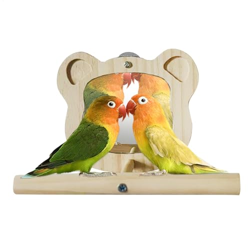 shuhauk Vogelspiegel mit Sitzstange | Sittichständer aus – Schaukelständer, Spielspielzeug für kleine, Wellensittiche, Aras, Grausittiche, Nymphensittiche, Sittiche, Sittiche, Sittiche, von shuhauk