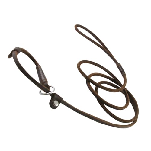 siduytin Zuverlässige Hundeleine, angenehm zu tragen, geeignet für große Hunde, 150 cm Länge, Leder Hundezubehör, Haustier Hundeleine siduytin Zuverlässige Hundeleine, angenehm zu tragen, geeignet für große Hunde, 150 cm Länge, Leder Hundezubehör, Haustier Hundeleine von siduytin