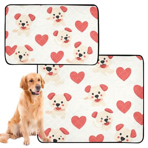 Hunde-Teppich für Hunde, schmutzige Füße, waschbar, rutschfest, Bodenmatte für Boden, 61 x 91,4 cm + 91,4 x 106,7 cm, Beige Hunde-Teppich für Hunde, schmutzige Füße, waschbar, rutschfest, Bodenmatte für Boden, 61 x 91,4 cm + 91,4 x 106,7 cm, Beige von siphylline