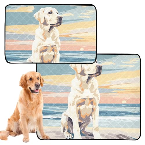 Hunde-Teppich für den Innenbereich, waschbar, rutschfest, für Flugzeugkäfige, 61 x 91,4 cm + 91,4 x 106,7 cm, 2 Stück von siphylline