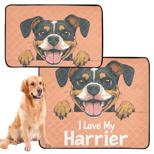 Hundedecke, waschbar, rutschfest, für Strand, 61 x 91,4 cm + 91,4 x 106,7 cm, niedlicher Hundekopf, 2 Stück Hundedecke, waschbar, rutschfest, für Strand, 61 x 91,4 cm + 91,4 x 106,7 cm, niedlicher Hundekopf, 2 Stück von siphylline